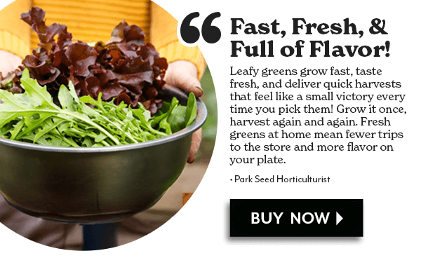 Fast, Fresh, & Full of Flavor