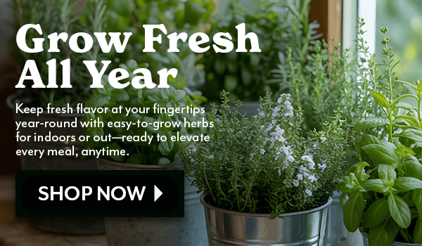 GROW FRESH ALL YEAR