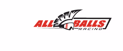 ALL BALLS RACING