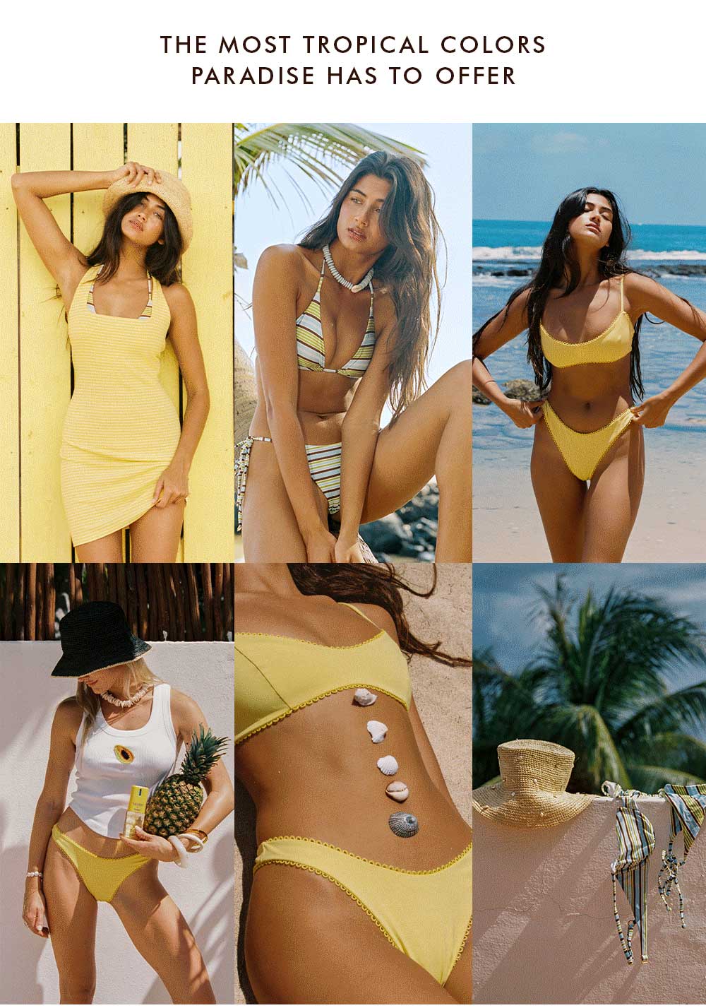 Juicy Hues - Shop New Arrivals