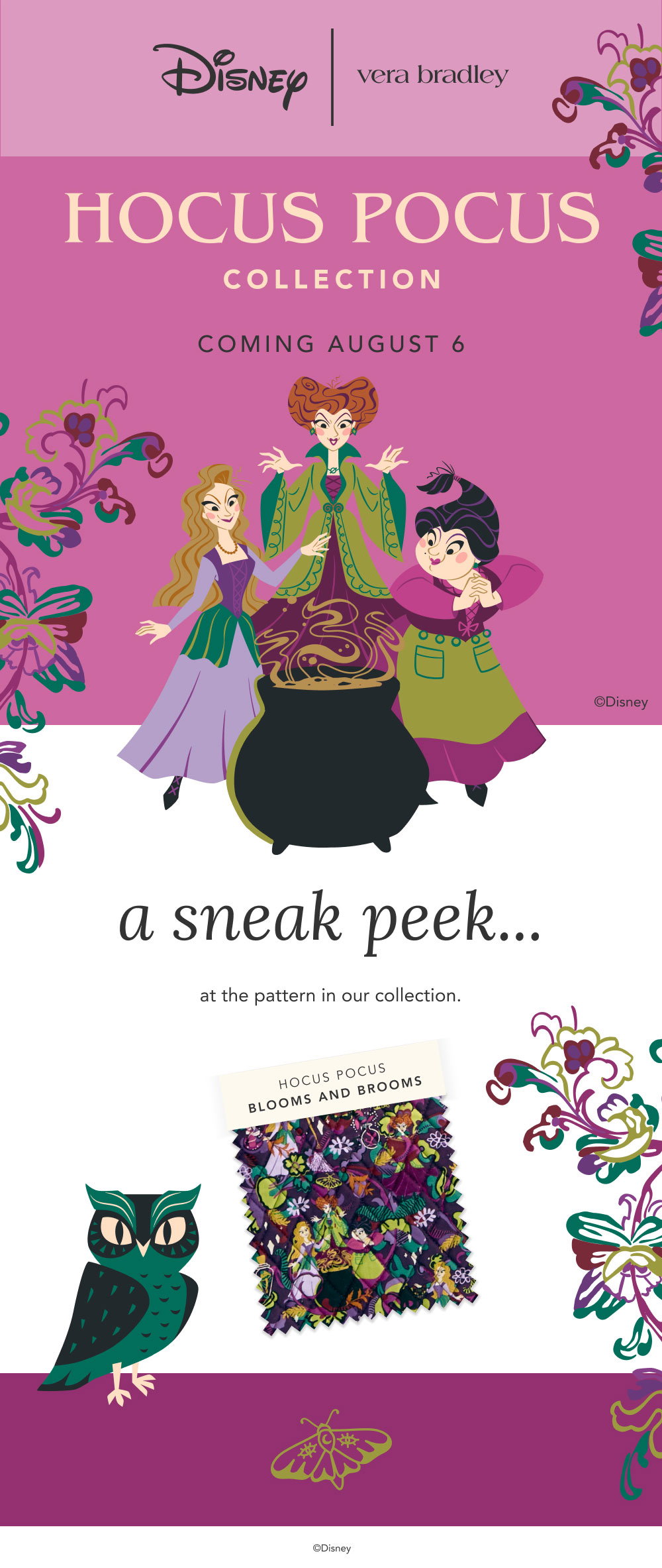 Hocus Pocus Collection, Coming August 6