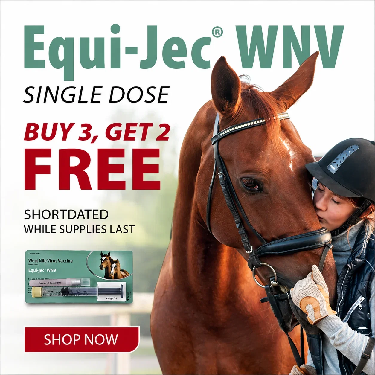 SHOP EQUI-JEC