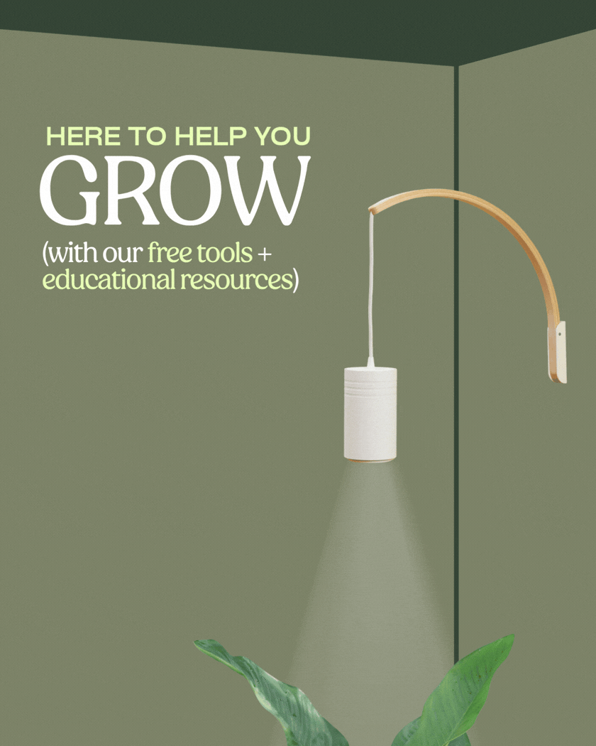 Check out our FREE tools + resources >