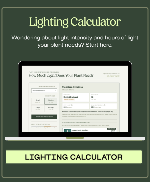 Plant Light Calculator >