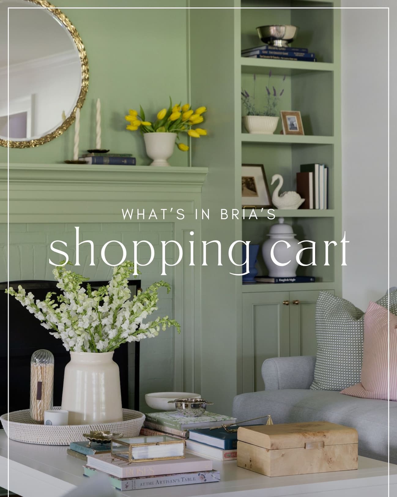 What's in Bria's Shopping Cart