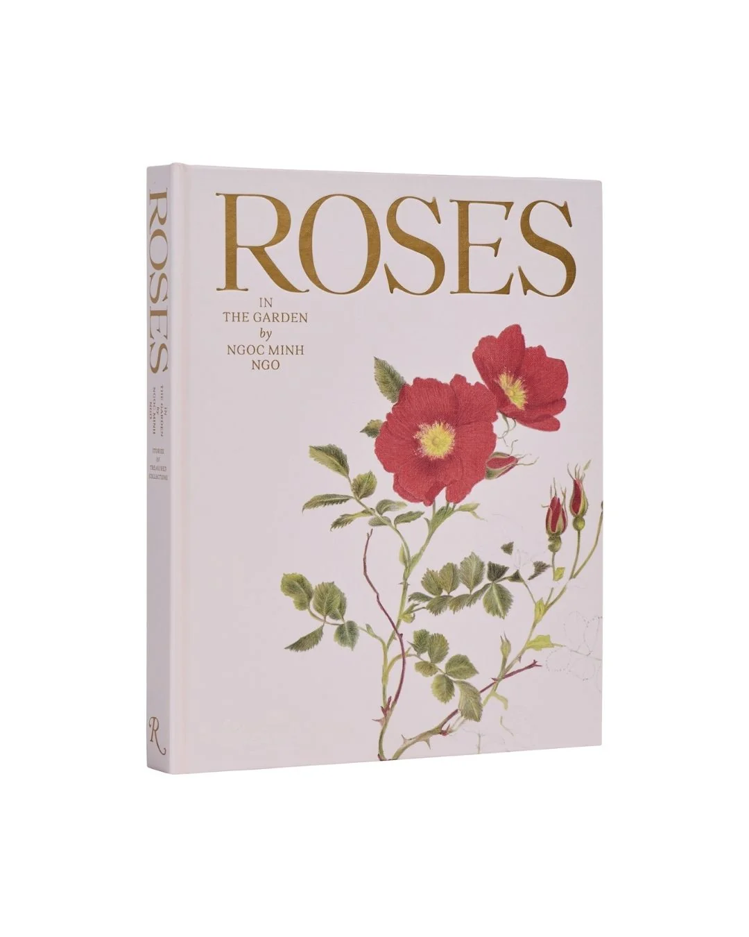 Image of Roses in the Garden