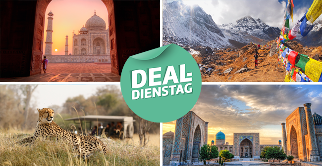 Bild-Collage: Taj Mahal zum Sonnenuntergang, bunte Gebetsfahnen wehen am Himalaya, Safari-Auto beobachtet einen Geparden, prunkvolle Gebäude in der Altstadt von Samarqand.