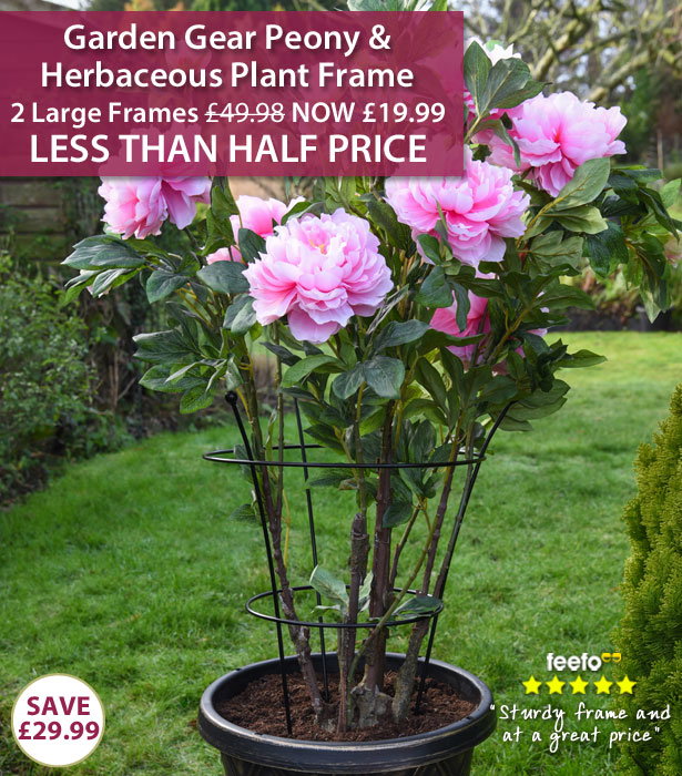Garden Gear Peony & Herbaceous Plant Frame