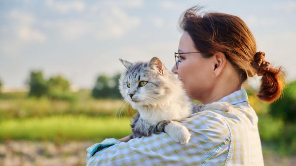 La chronique de Philippe Hofman:  Ma chatte est morte, c’est un deuil difficile 