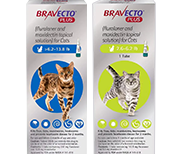 Bravecto Plus