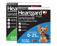 Heartgard Plus
