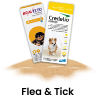 Flea & Tick
