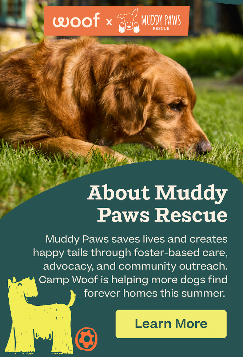 Learn More about Muddy Paws 