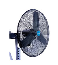 Shop Wall Fans Now