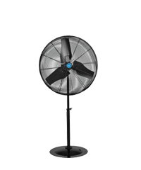 Shop Pedestal Fans Now