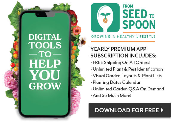 FROM SEED TO SPOON APP - DOWNLOAD