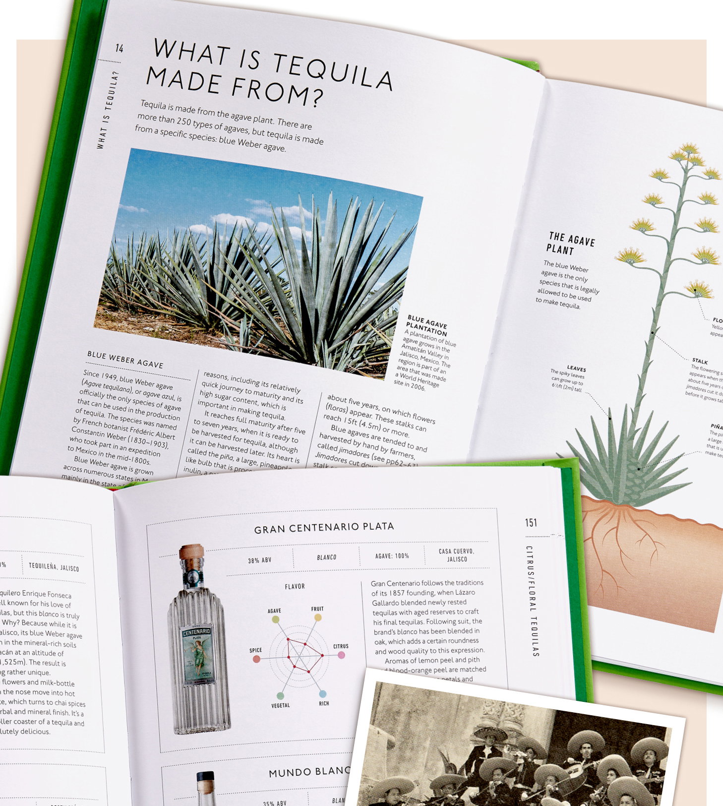 Interior pages from Tequila: A Tasting Course.