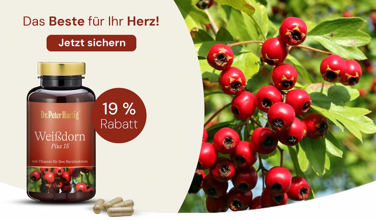 Omega 3 Lachsöl