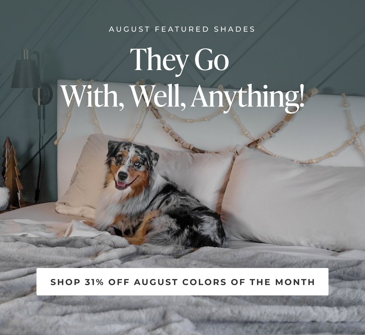 Shop 31% Off August Colors of the Month