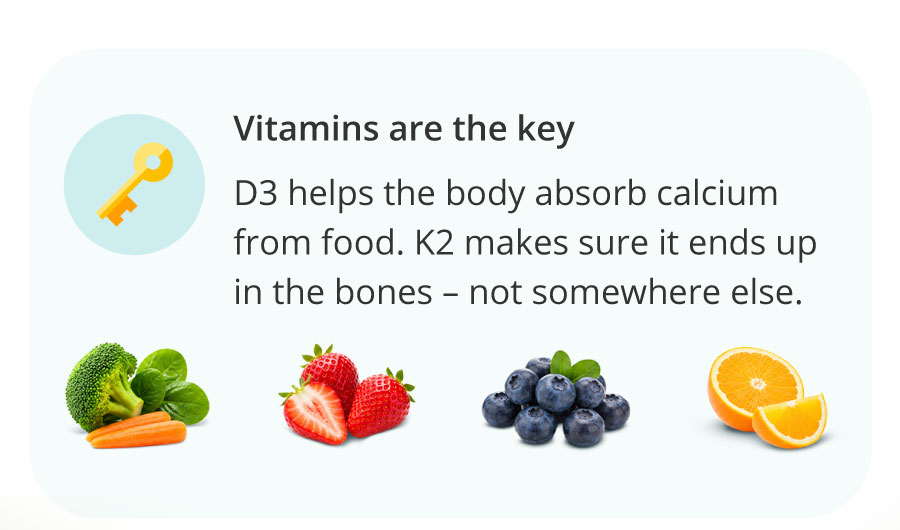 Vitamins are the key | D3 helps the body absorb calcium from food. K2 makes sure it ends up in the bones – not somewhere else.