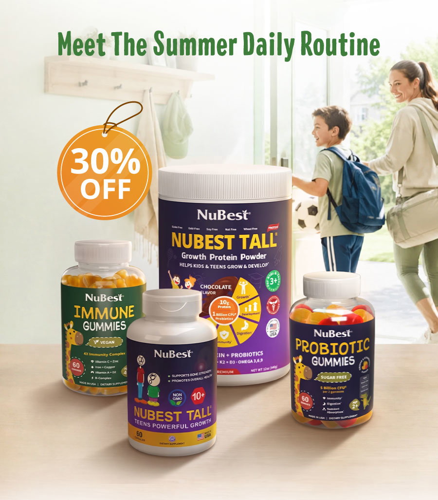 Meet the Summer Daily Routine