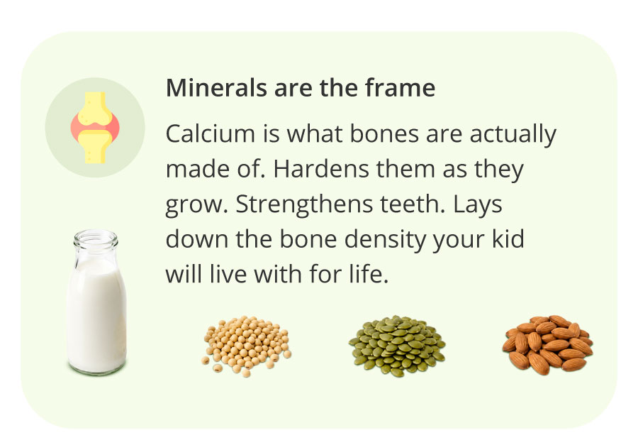 Minerals are the frame | Calcium is what bones are actually made of. Hardens them as they grow. Strengthens teeth. Lays down the bone density your kid will live with for life.
