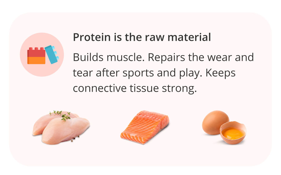 Protein is the raw material | Builds muscle. Repairs the wear and tear after sports and play. Keeps connective tissue strong.