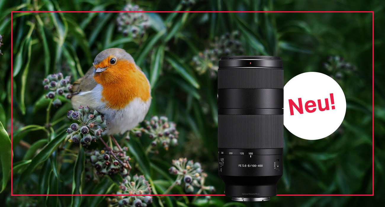 Sony FE 100-400mm F5.6-8 OSS