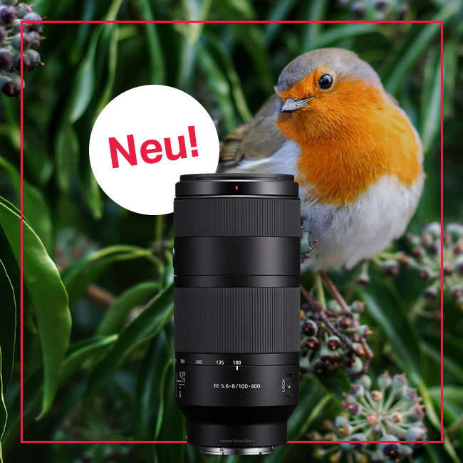 Sony FE 100-400mm F5.6-8 OSS