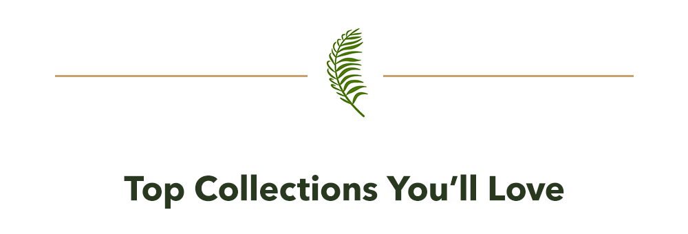 Top Collections You'll Love
