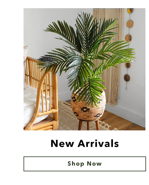 New Arrivals
