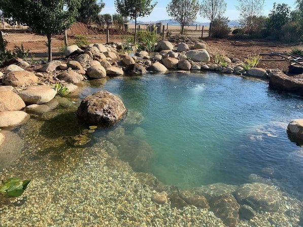 A completed backyard pond with waterfall, built from an Aquascape complete pond kit