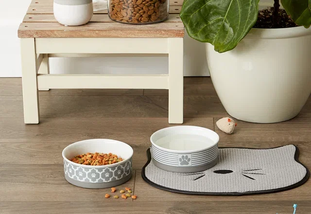 Pet Bowls Under $20
