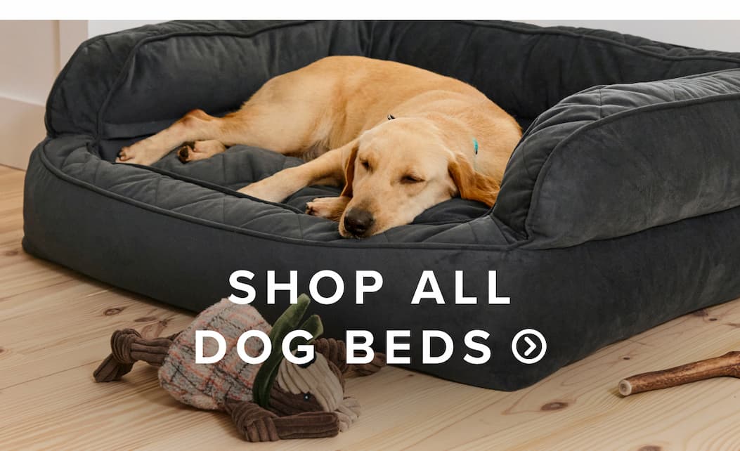 Shop all dog beds