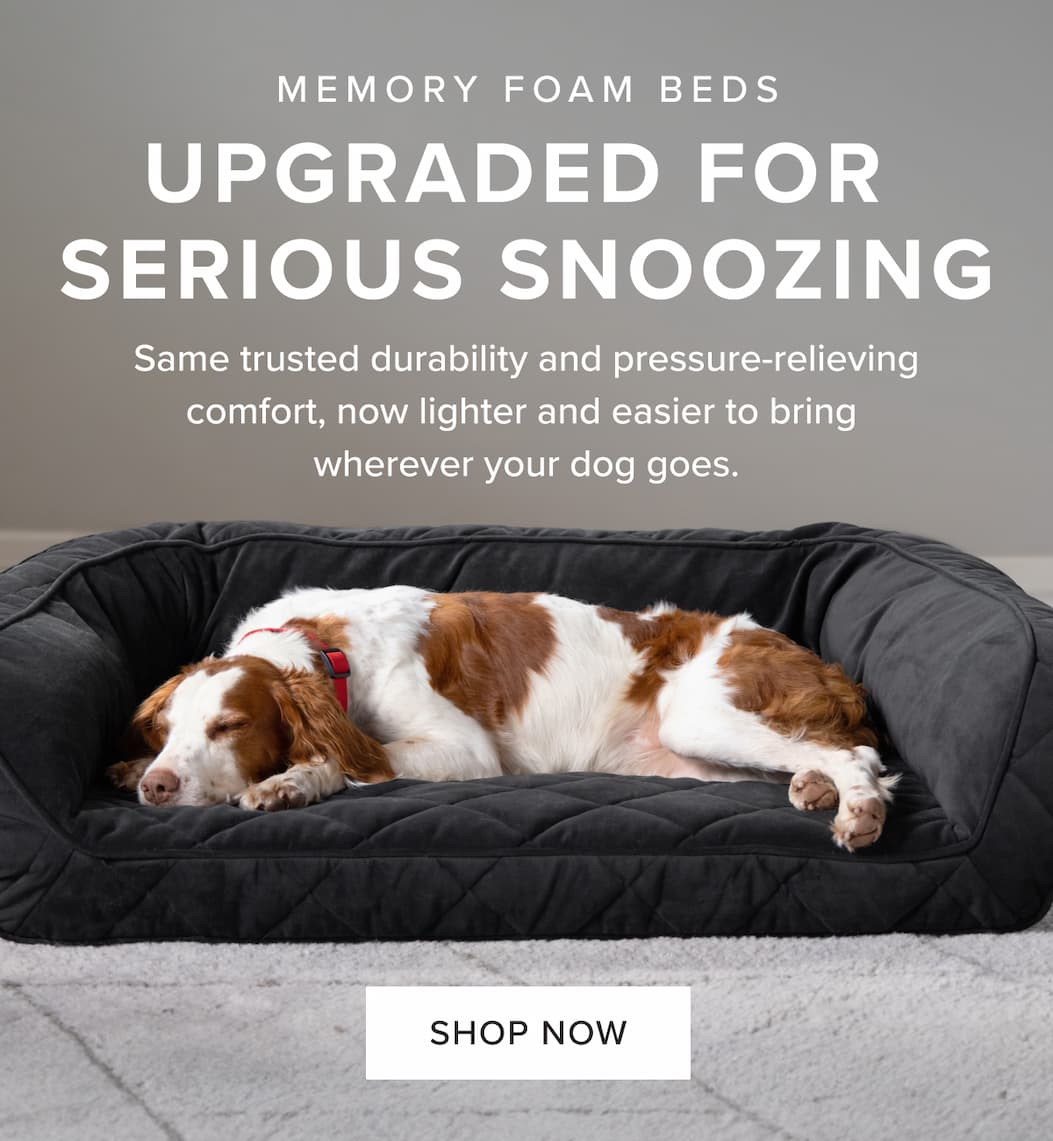 Memory Foam Beds - Now upgraded for better rest