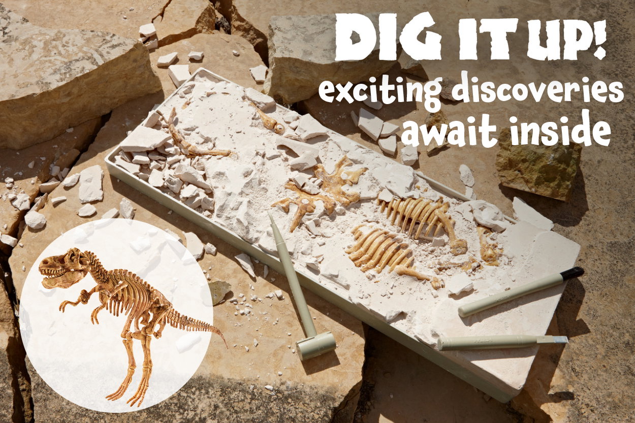 Dig It Up! Exciting Discoveries Await Inside