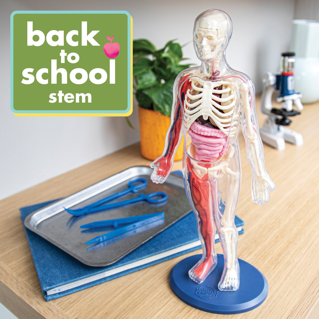 Back to School STEM