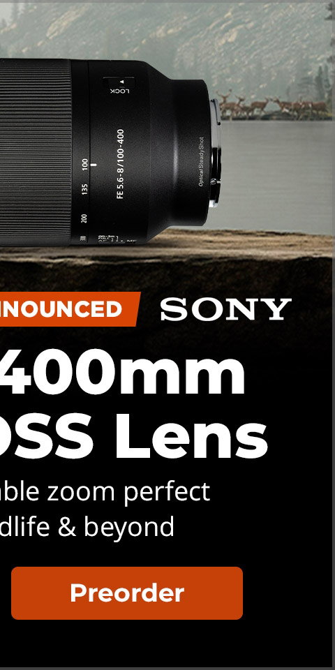 sony 100-400 banner 8-4 b