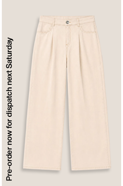 Maria Wide Leg High Waist Pleated Front Jeans