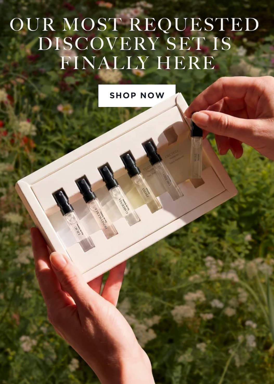 OUR MOST REQUESTED DISCOVERY SET IS FINALLY HERE: NYBG 6-Piece Vial Discovery Set!