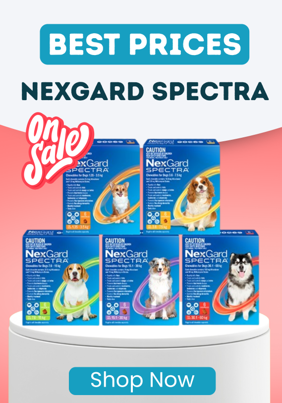 BEST PRICES Nexgard Spectra