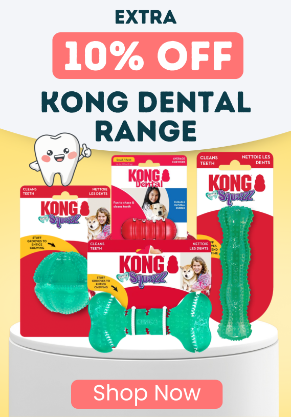 Extra 10% OFF KONG Dental Range