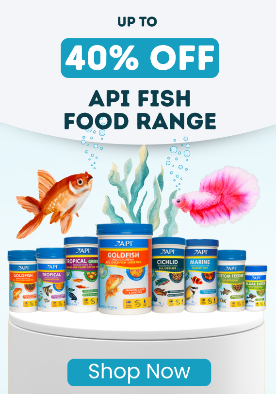 Up to 40% OFF API Fish Food Range