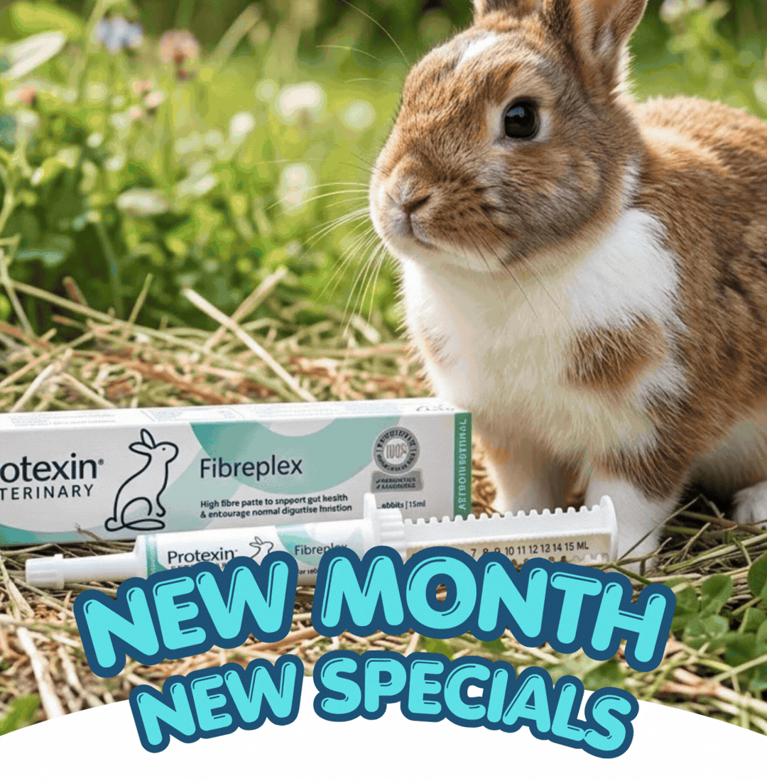 NEW MONTH, NEW SPECIALS.