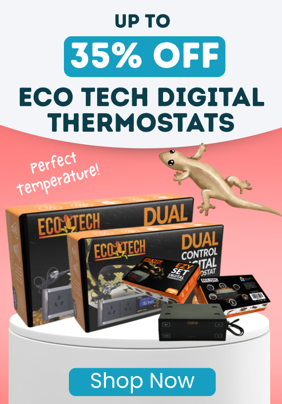 Up to 35% OFF Eco Tech Digital Thermostats
