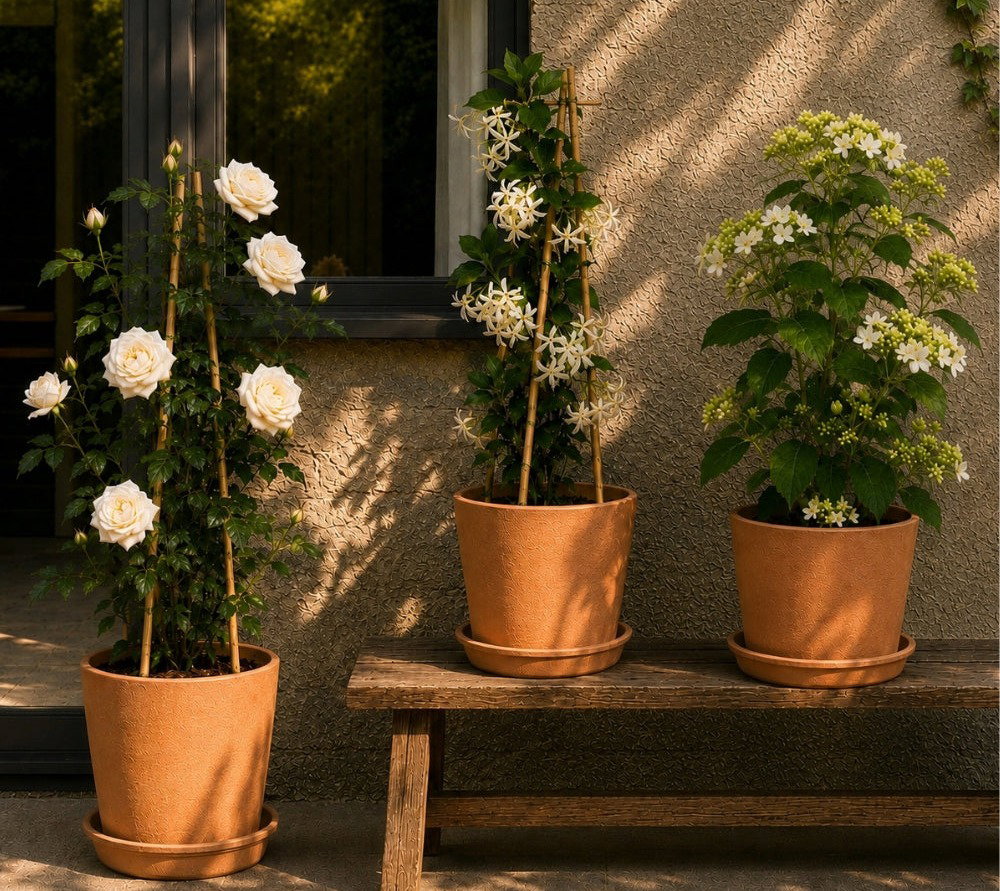 Large houseplants in modern pots sit by a window with a view of greenery.