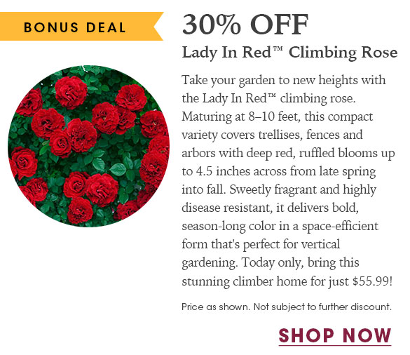 FINAL HOURS: Up to 20% OFF Roses + Free Shipping on $150+