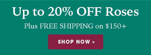 FINAL HOURS: Up to 20% OFF Roses + Free Shipping on $150+