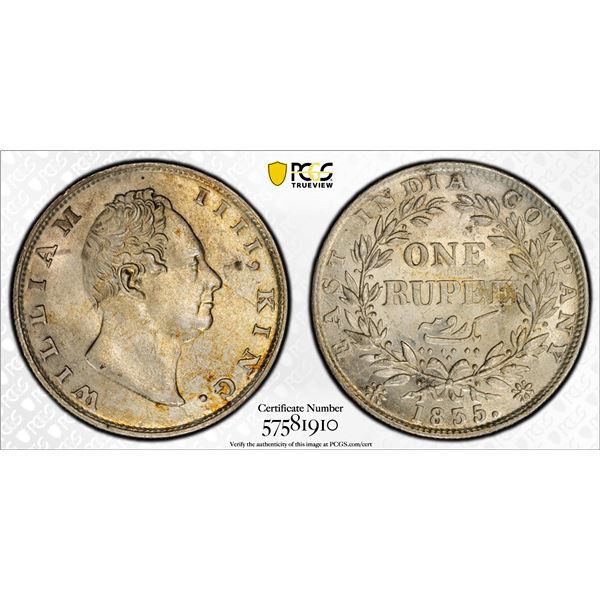 SARC | Internet Auction 39