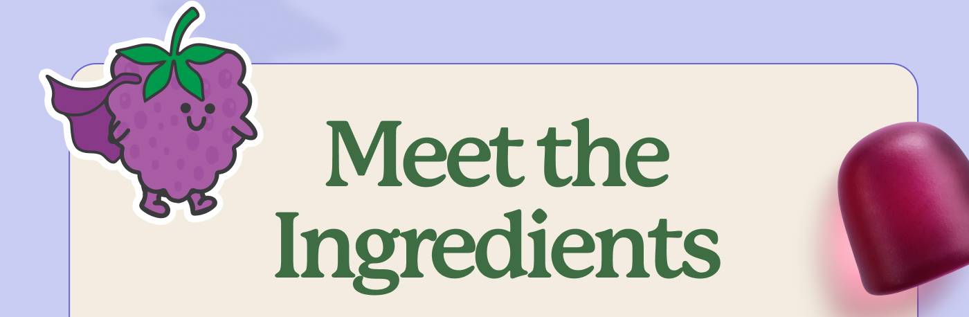 Meet the Ingredients